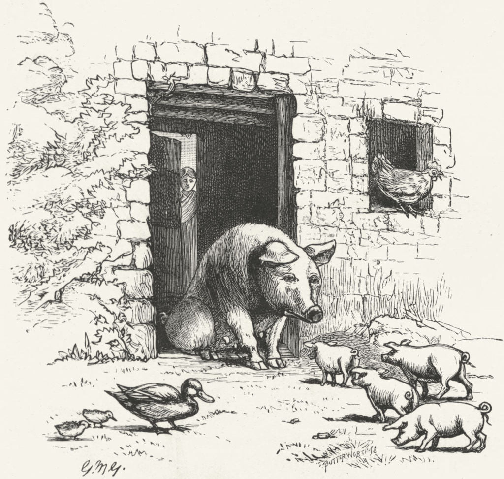 IRELAND. A Kerry Cabin Inhabitants 1888 old antique vintage print picture